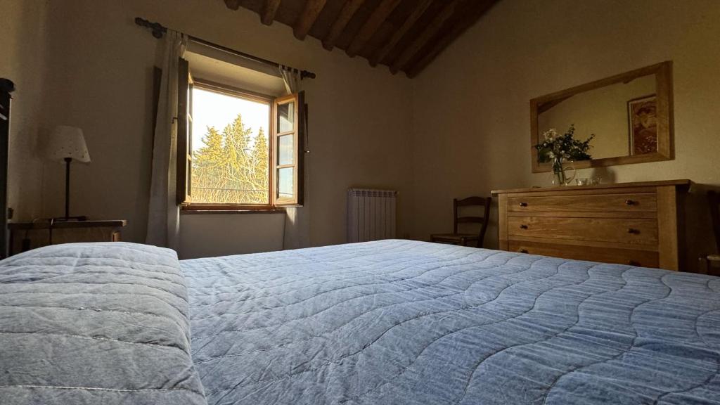 Canaiolo 6