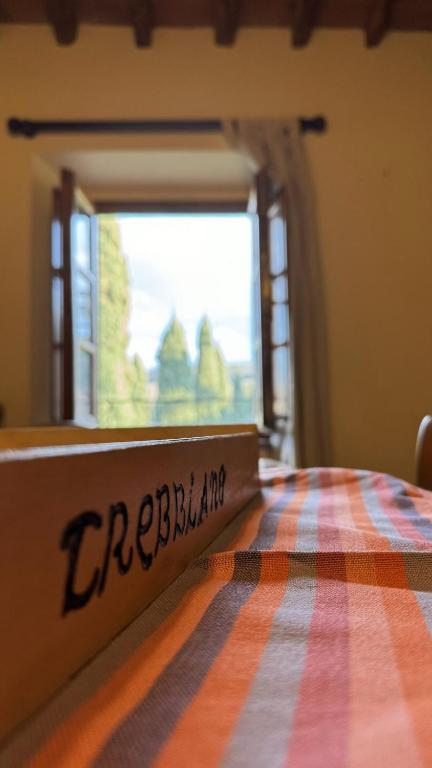 Trebbiano 10
